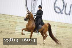 23R13_16074 proof