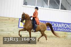23R13_16076 proof