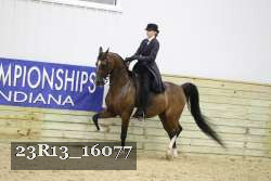 23R13_16077 proof