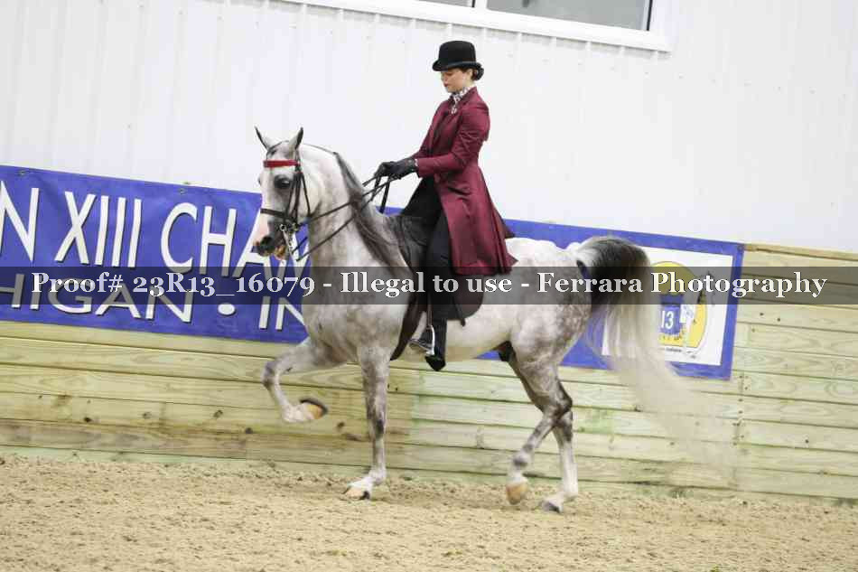 Proof 23R13_16079