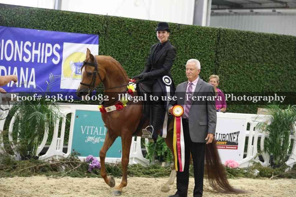 Proof 23R13_16082