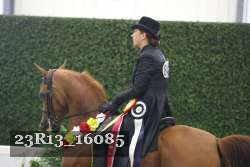 23R13_16085 proof