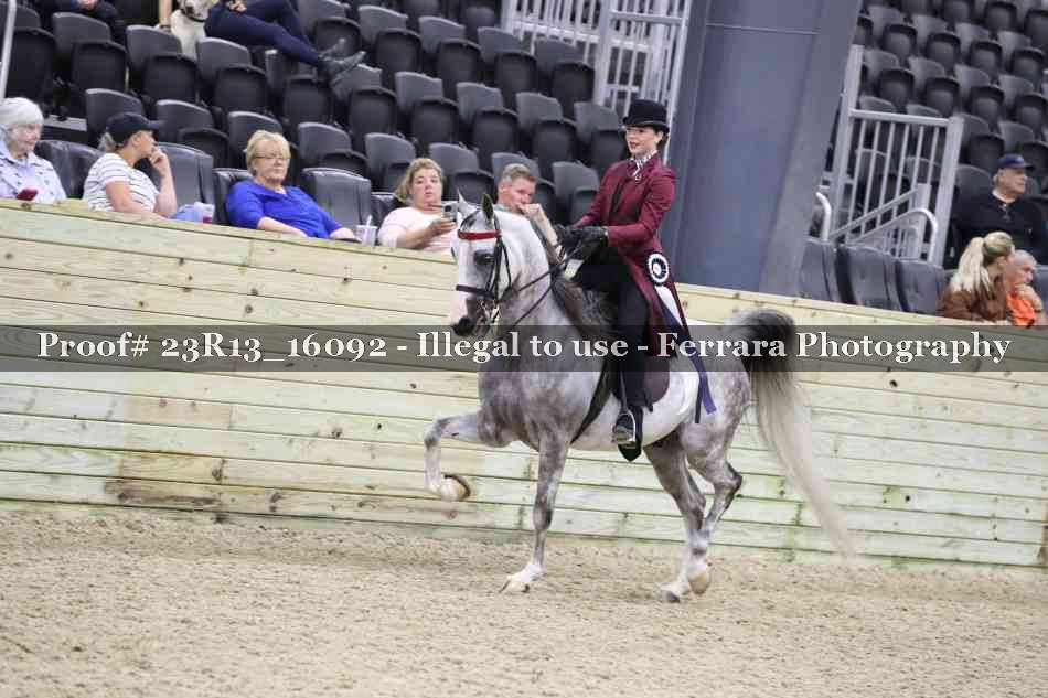 Proof 23R13_16092