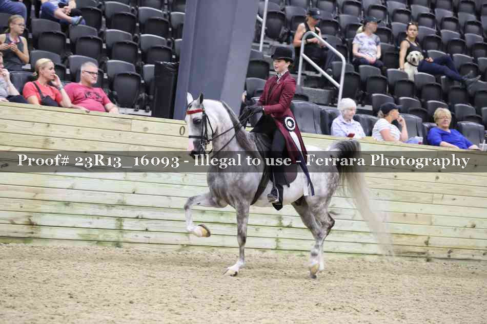 Proof 23R13_16093