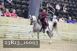 23R13_16093 proof