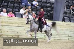 23R13_16094 proof