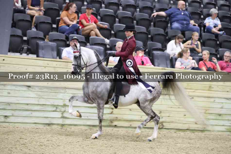 Proof 23R13_16095