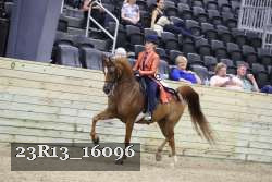23R13_16096 proof
