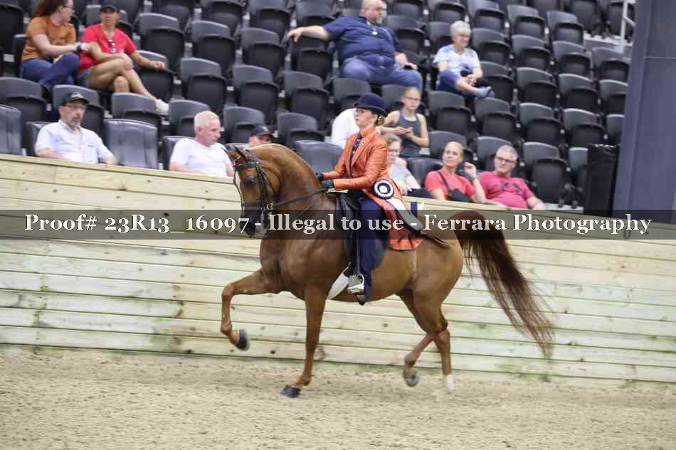 Proof 23R13_16097
