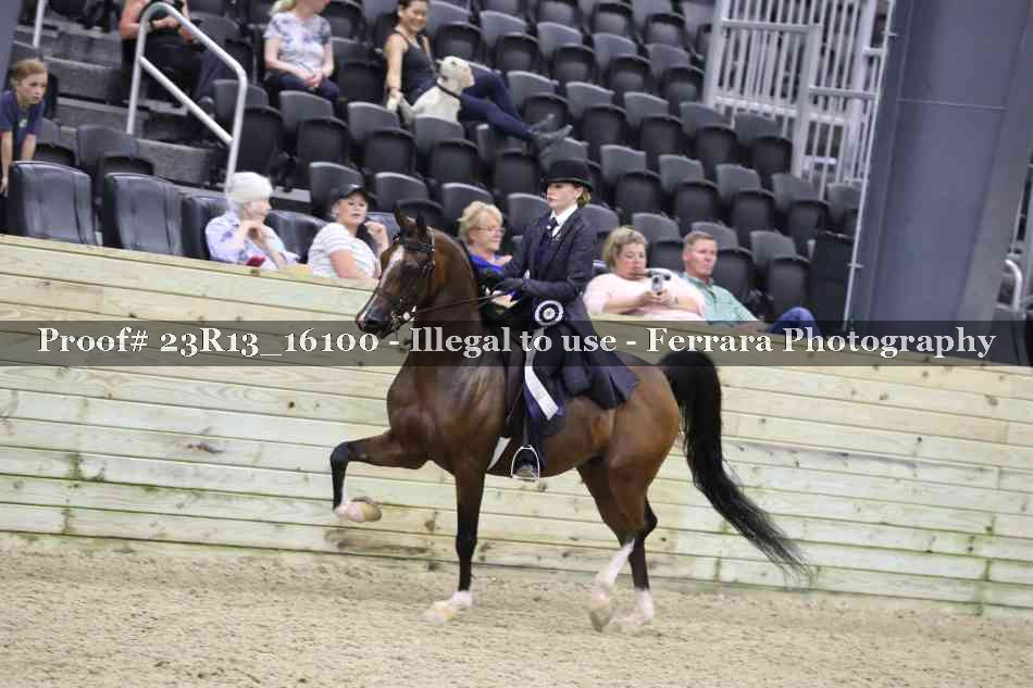 Proof 23R13_16100