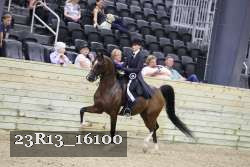 23R13_16100 proof