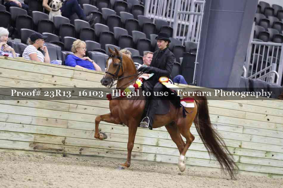 Proof 23R13_16103