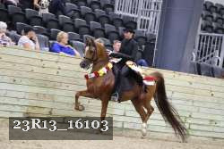 23R13_16103 proof