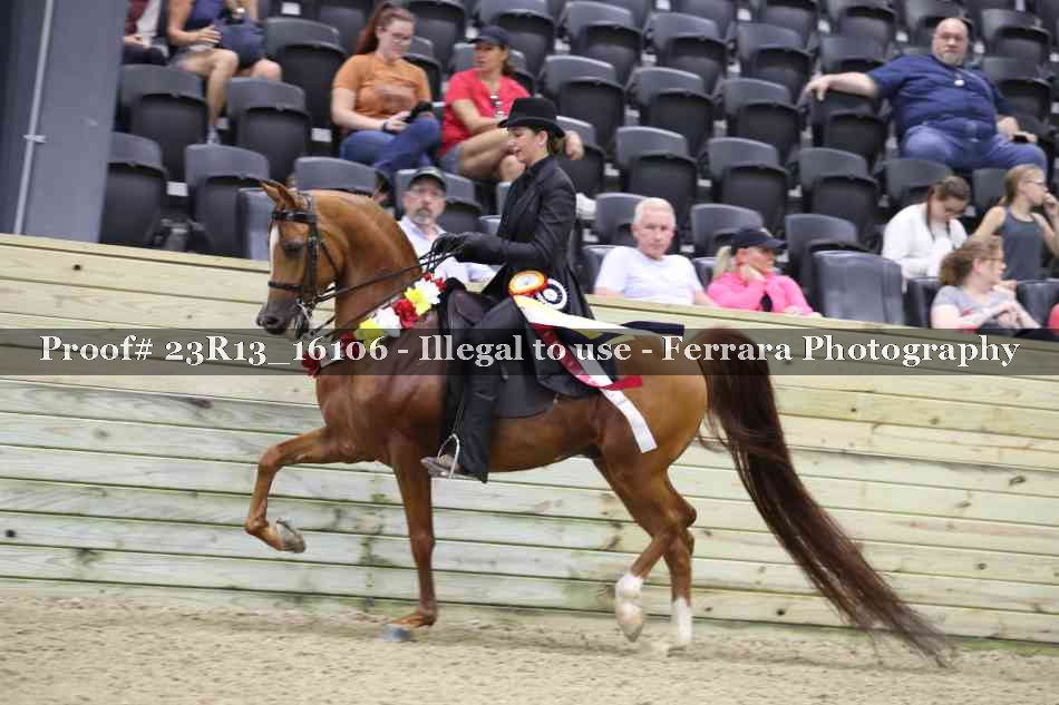 Proof 23R13_16106