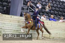 23R13_16110 proof