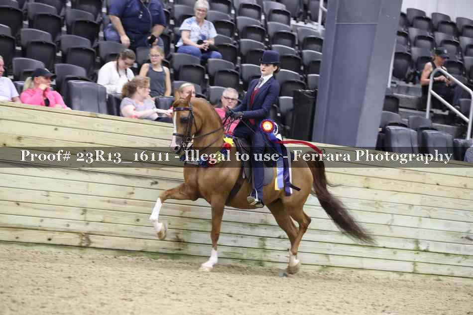 Proof 23R13_16111