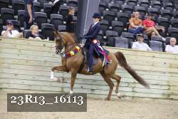23R13_16113 proof