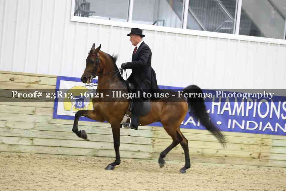Proof 23R13_16121