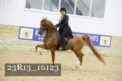 23R13_16123 proof