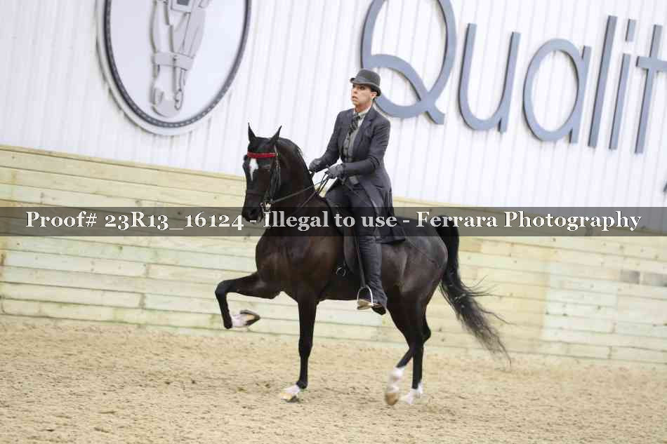 Proof 23R13_16124