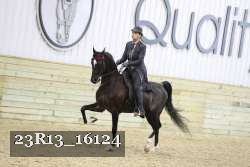 23R13_16124 proof