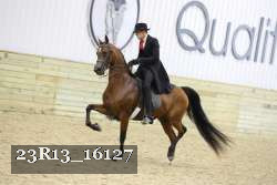 23R13_16127 proof