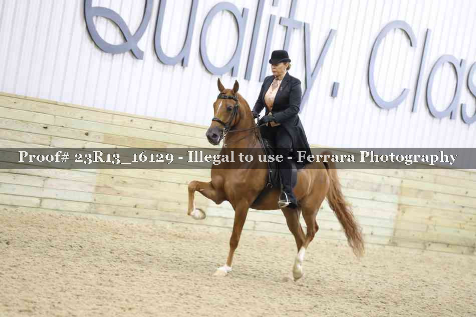 Proof 23R13_16129
