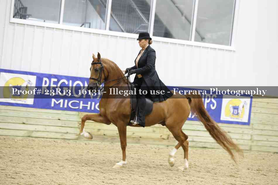 Proof 23R13_16131