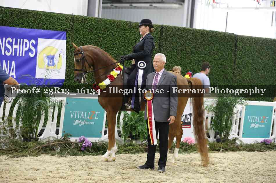 Proof 23R13_16134