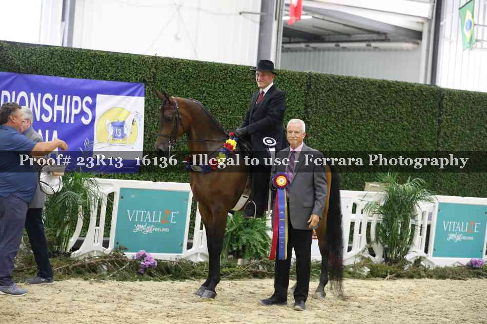 Proof 23R13_16136