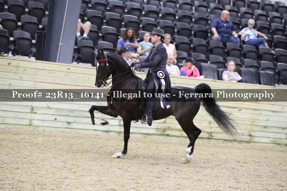 Proof 23R13_16141
