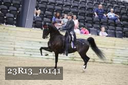 23R13_16141 proof