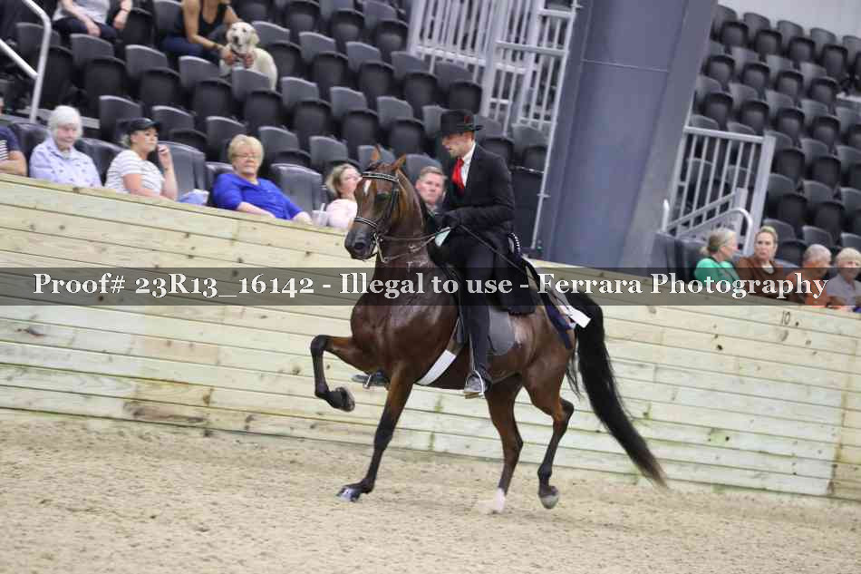 Proof 23R13_16142