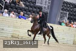 23R13_16142 proof