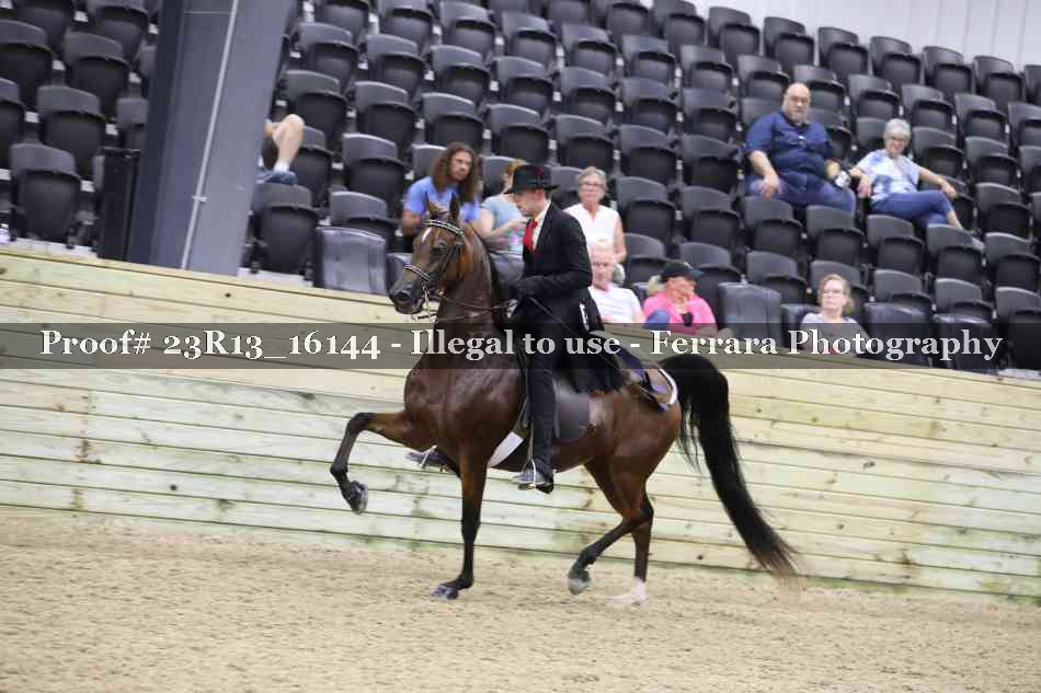 Proof 23R13_16144