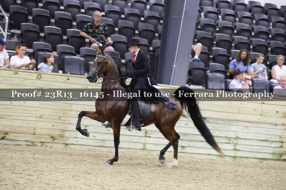 Proof 23R13_16145
