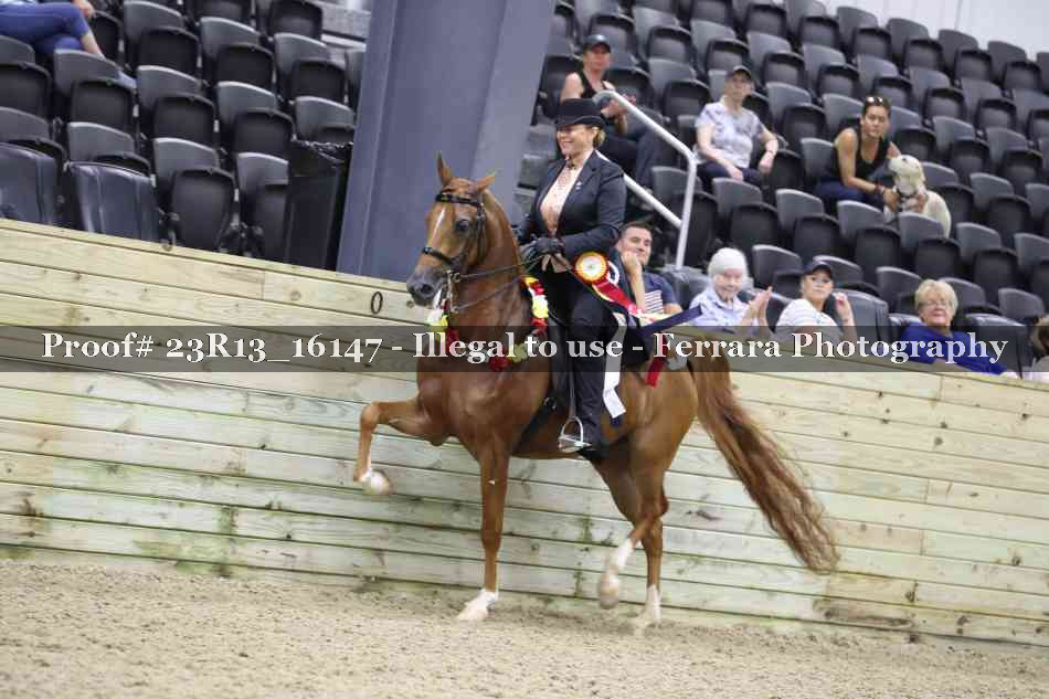 Proof 23R13_16147
