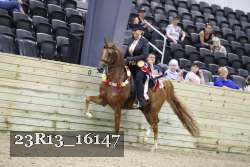 23R13_16147 proof