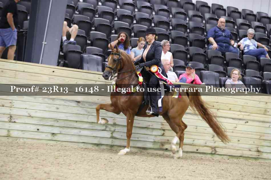 Proof 23R13_16148