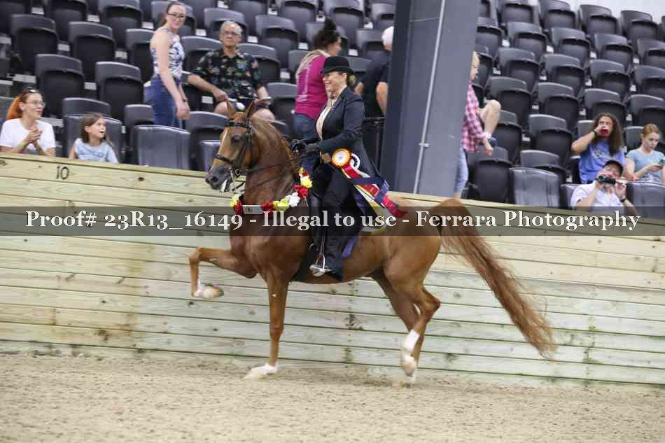 Proof 23R13_16149