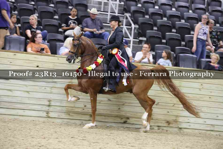 Proof 23R13_16150