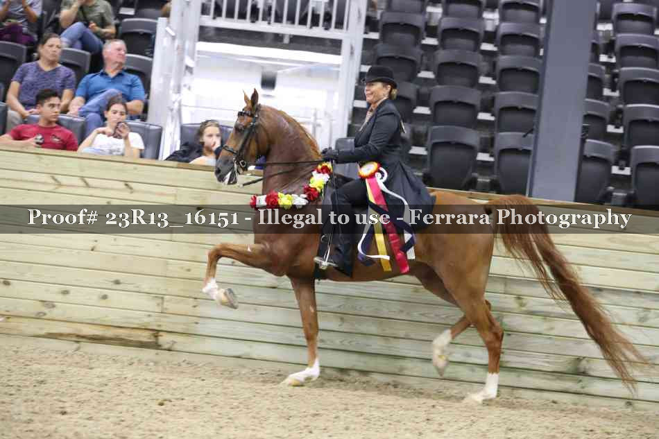 Proof 23R13_16151