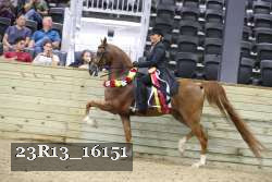 23R13_16151 proof