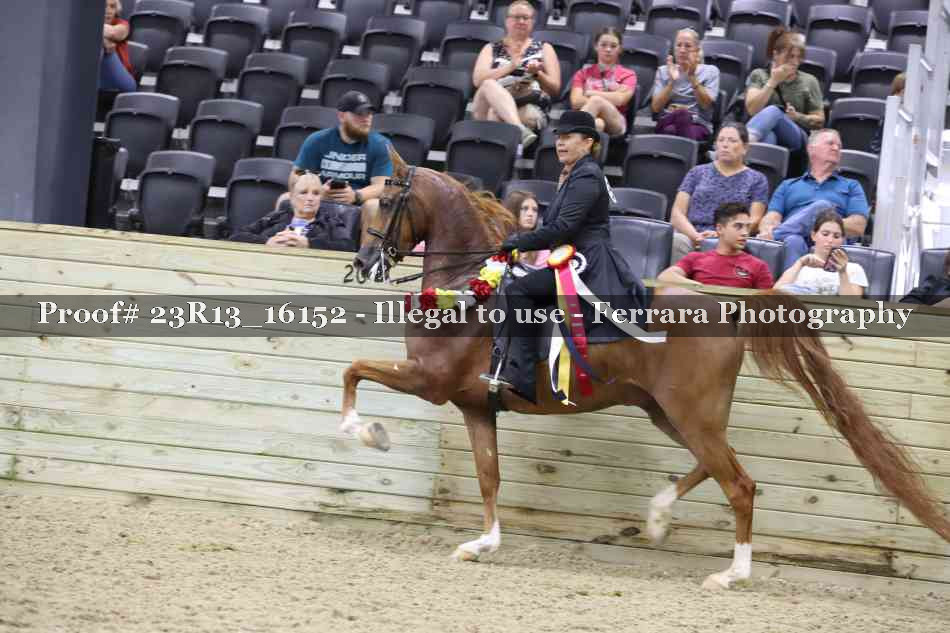 Proof 23R13_16152