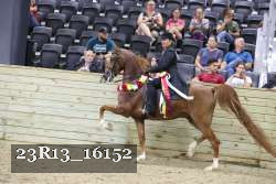 23R13_16152 proof