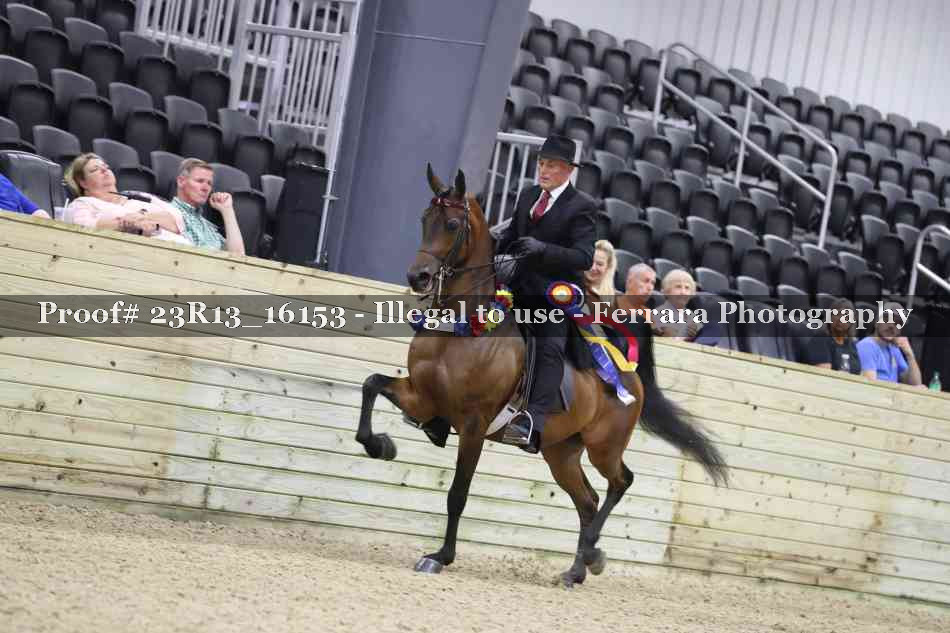 Proof 23R13_16153
