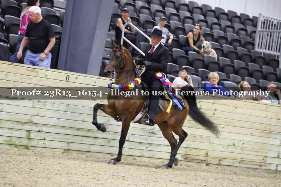 Proof 23R13_16154