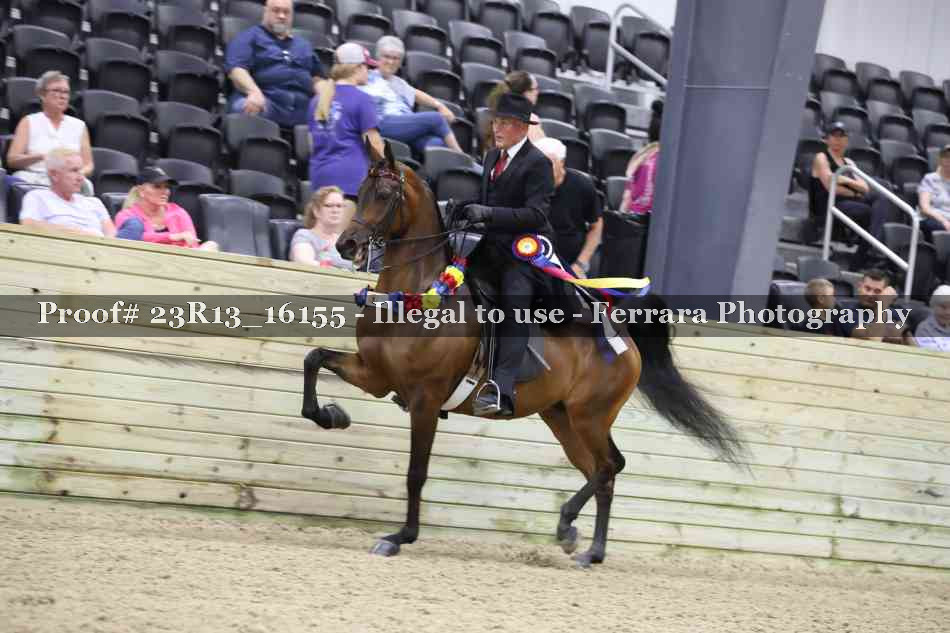 Proof 23R13_16155
