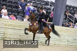 23R13_16155 proof