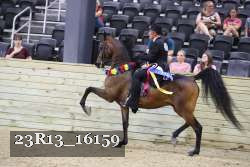 23R13_16159 proof